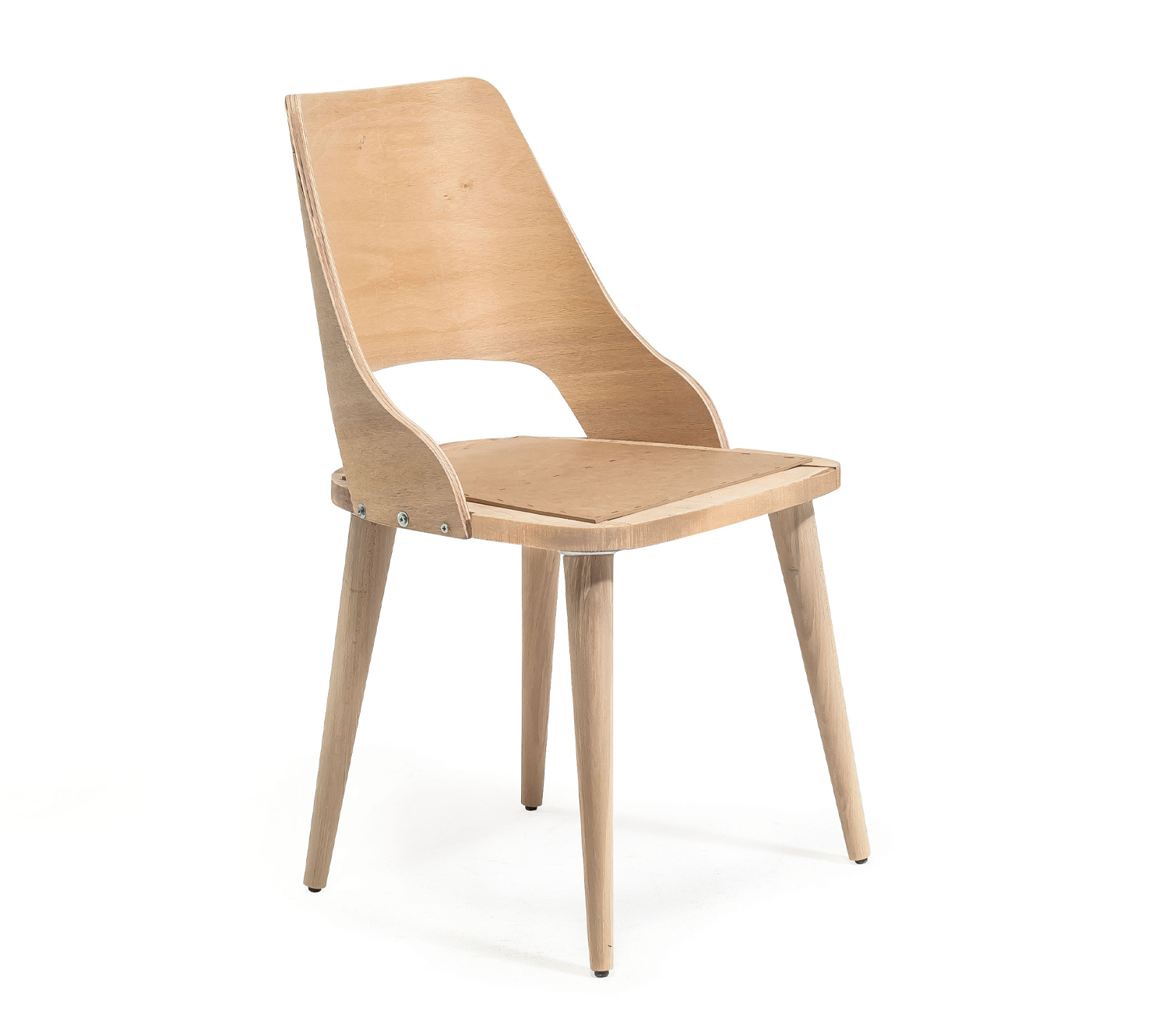 asya-(1) ASYA - Görsel 1