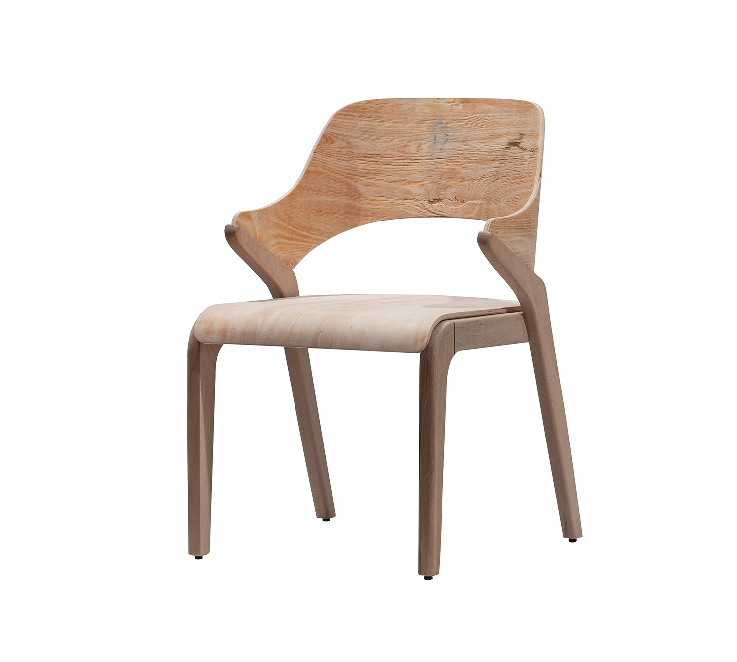 _DSC9222 Bonita - Görsel 1