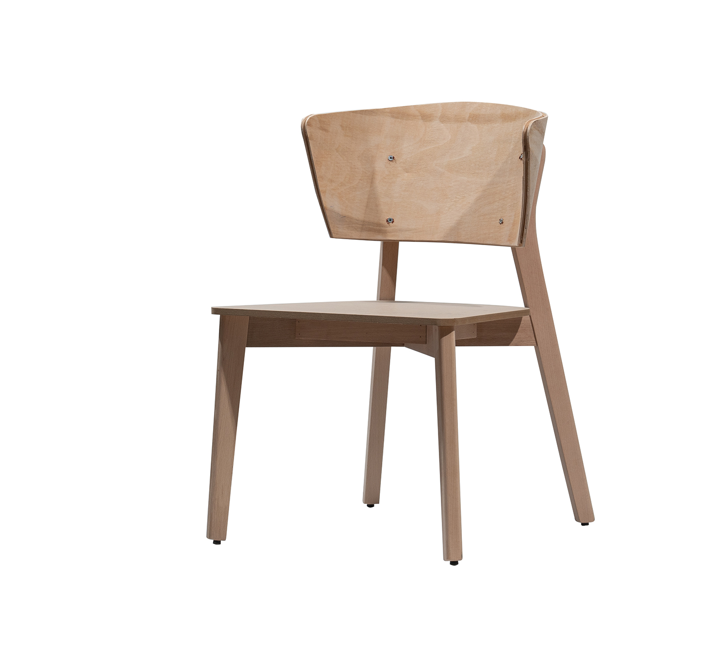 _DSC9255 Angel - Görsel 1